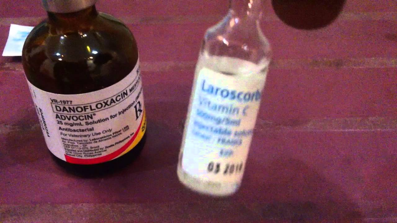 Những loại thuốc tốt nhất được sử dụng cho chiến kê ( Video)