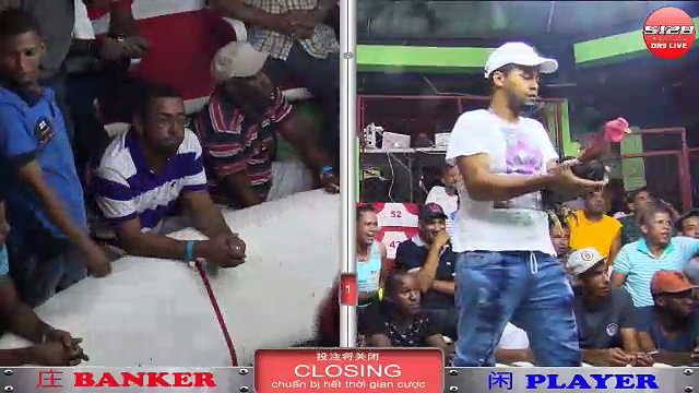 Đá gà cựa dao tại đấu trường lớn nhất Châu Á