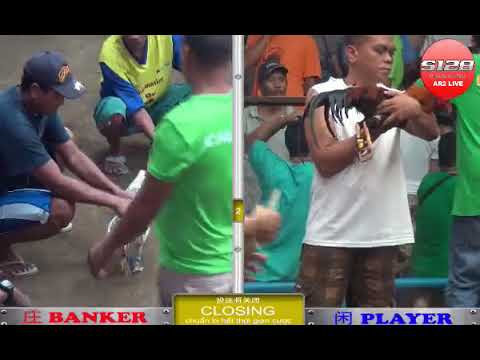 Đá gà cựa dao ngày 09/10/2017 -phần 3