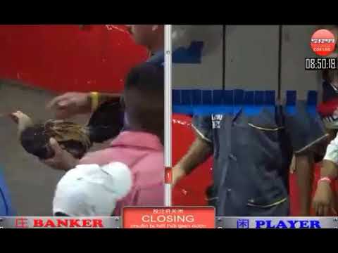 Đá gà cựa dao ngày 24/10/2017- Phần 2