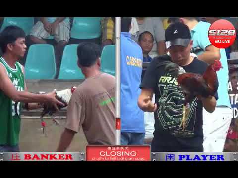 Đá gà cựa Dao ngày 11/10/2017