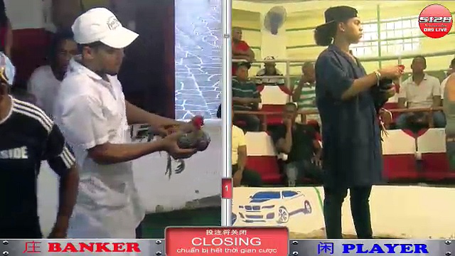 Đá gà cựa dao mới nhất ngày 11/12/2017