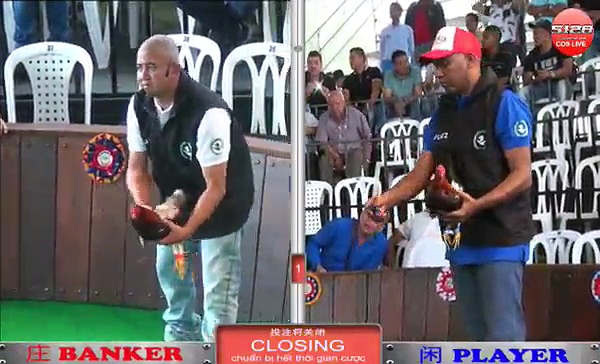 Đá gà cựa dao mới nhất ngày 4/12/2017