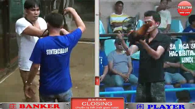 Đá gà cựa sắt mới nhất ngày 12/12/2017