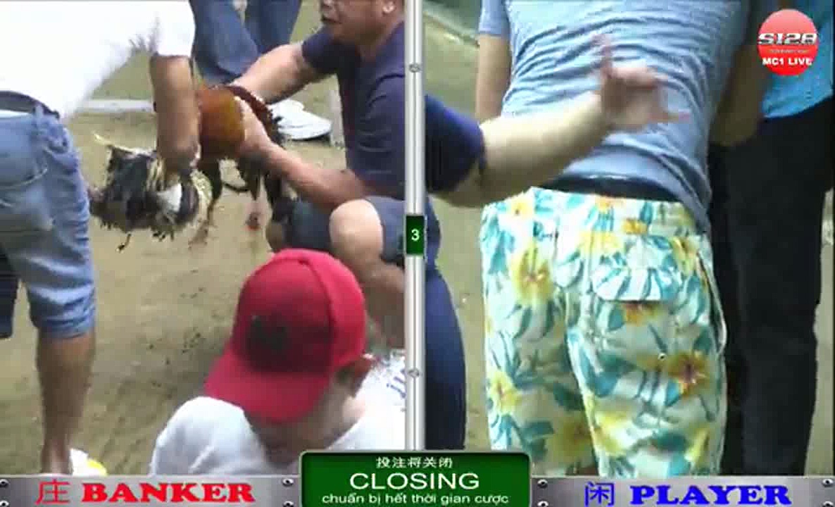 Đá gà cựa sắt ngày 18/12/2017