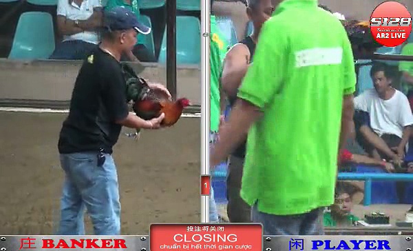 Đá gà cựa dao tuyển chọn phần 2