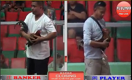 Đá gà campuchia tuyển chọn phần 7