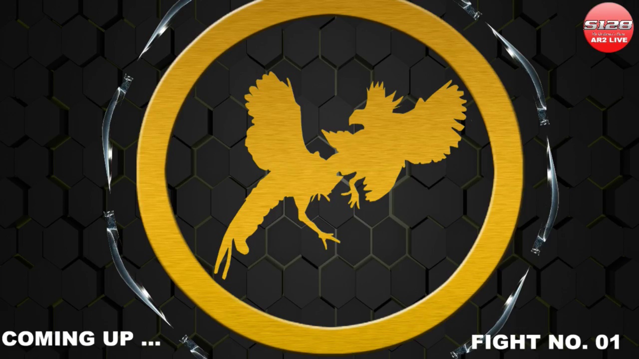 Trận đấu đá gà cựa dao kinh điển ngày 12/03/2018