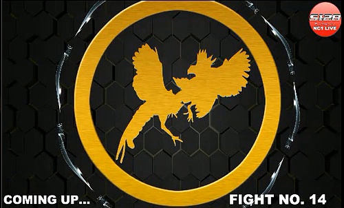 Clip đá gà ăn tiền cực khủng tại đấu trường gà s128