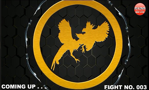 S128 Philippines – Trường đá gà ăn tiền số 1 châu Á