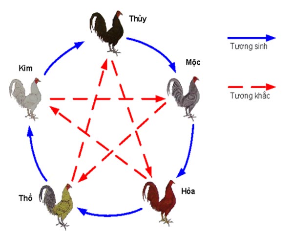 cách xem màu mạng gà đá