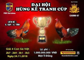 đại hội đá gà thomo 2018