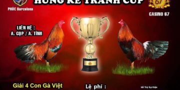 đại hội đá gà thomo 2018