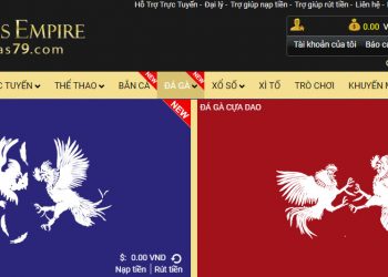 đá gà tại vegas 79