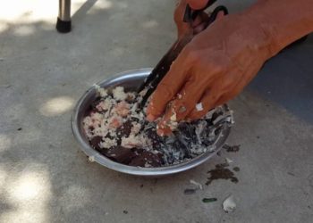 cách vô mồi cho gà