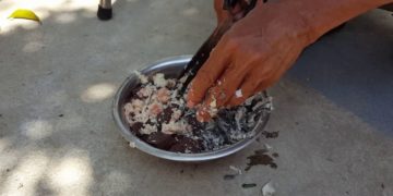 cách vô mồi cho gà