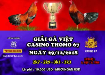 giải đá gà thomo ngày 29/12