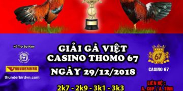 giải đá gà thomo ngày 29/12