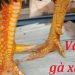 vày gà chọi xấu