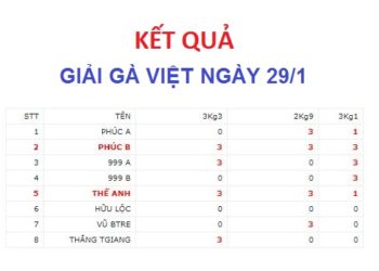 Kết quả giải gà Việt 29/1/2019