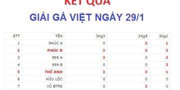 Kết quả giải gà Việt 29/1/2019