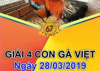 Giải 4 con gà Việt ngày 28/3/2019