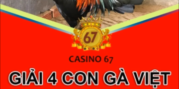 đá gà giải thomo ngày 30-4-2019