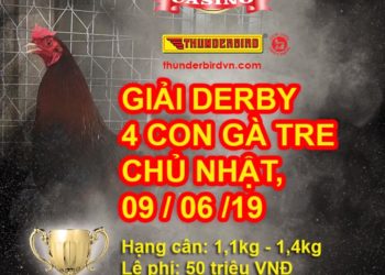 THOMO - GIẢI "4 CON GÀ TRE" NGÀY 9/6/2019