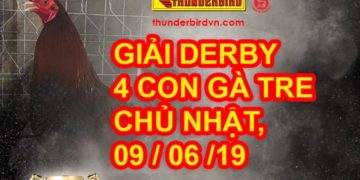 THOMO - GIẢI "4 CON GÀ TRE" NGÀY 9/6/2019