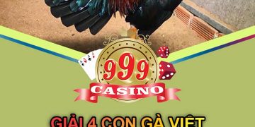 Giải đá gà Việt ngày 16/6