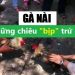 mánh khoé của nài gà
