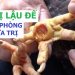 cách chữa gà bị lậu đế