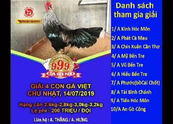 đá gaft thomo giải đá gà