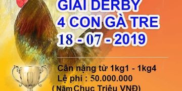 Xem đá gà trực tiếp giải Thomo