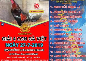 danh sách tham dự giải 4 con gà Việt 27/7/2019