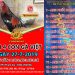 danh sách tham dự giải 4 con gà Việt 27/7/2019