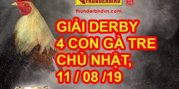giải gà tre 11/8