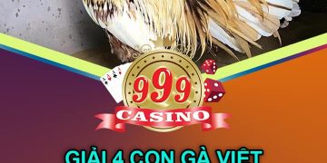 giải gà nòi 18/8