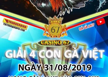 Giải 4 con gà Việt ngày 31/8