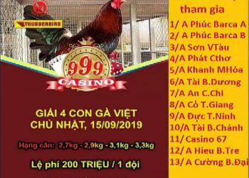 Giải đá gà Việt ngày 15/9/2019