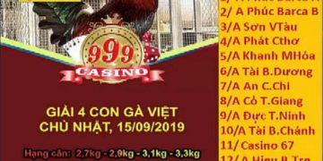 Giải đá gà Việt ngày 15/9/2019