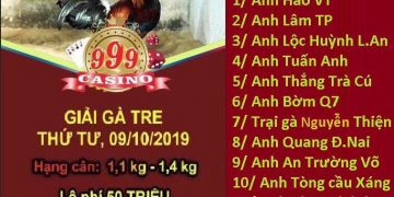 Giải gà tre ngày 9/10