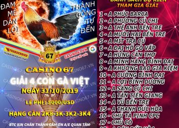 Giải đá gà Việt ngày 31/10