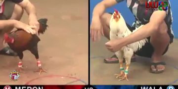 mat-mong-bom-dep-da-bo-re