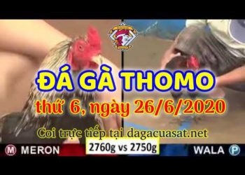 cuasat thang6-2020 (26)