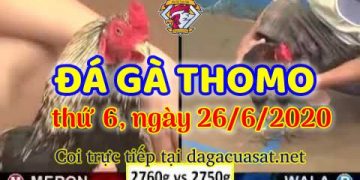 cuasat thang6-2020 (26)