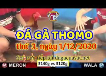 cuasat thang12-2020 (1)