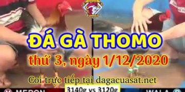 cuasat thang12-2020 (1)