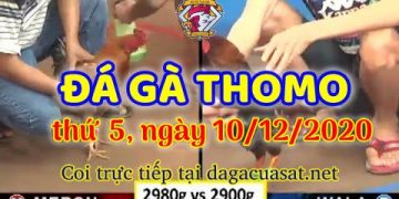 cuasat thang12-2020 (10)