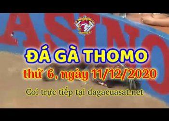 cuasat thang12-2020 (11)